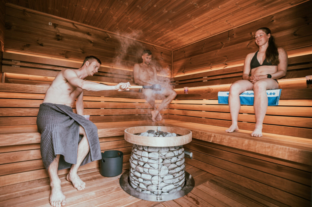 kas-elektrikerisega-saunas-voib-kividele-vett-visata-7